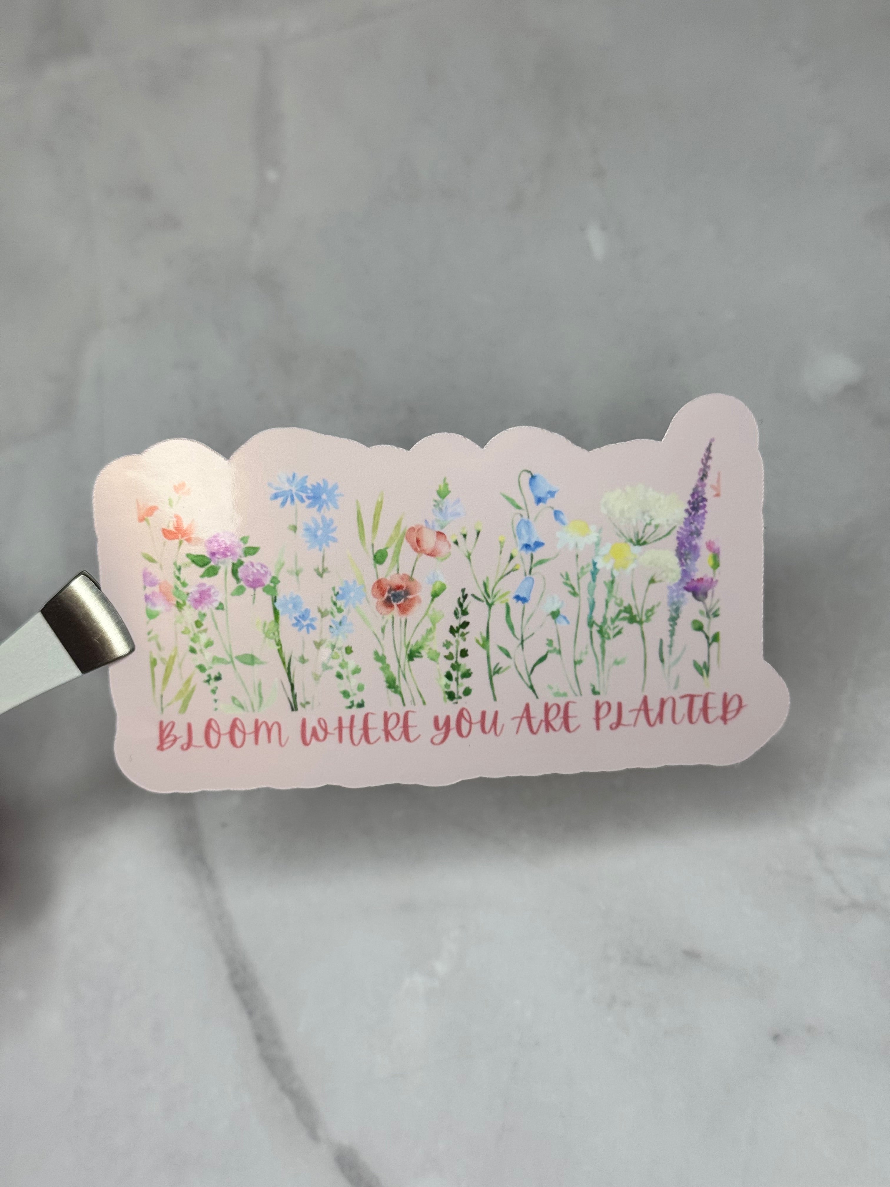 Bloom Where You Are Planted Sticker