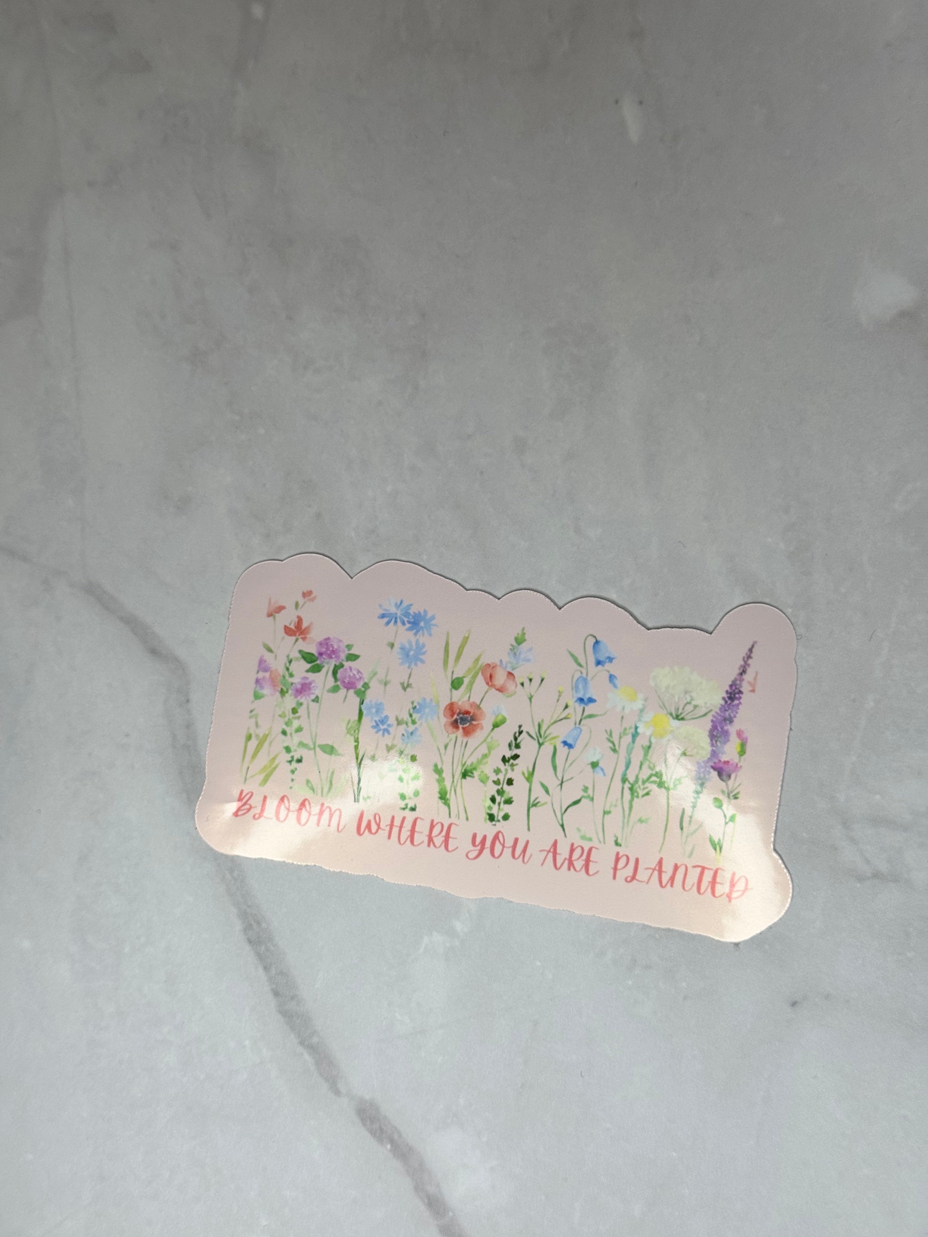 Bloom Where You Are Planted Sticker